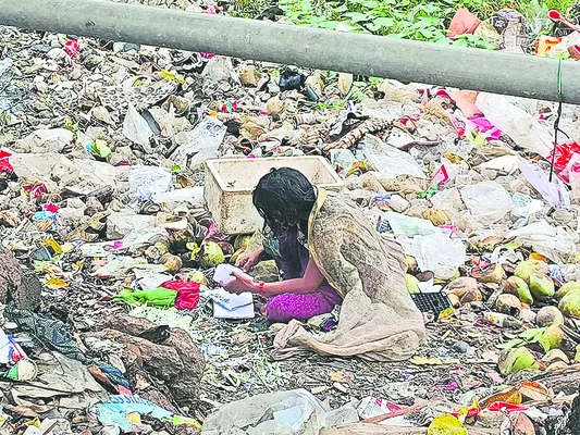 పరిమళించిన మానవత్వం 