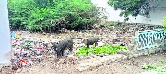 దుర్గ