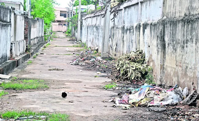 చెత్త సేకరణలో జాప్యం

