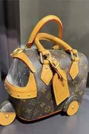 Iconic auto rickshaw Into Louis Vuitton turnsluxury handbag internet reacts11