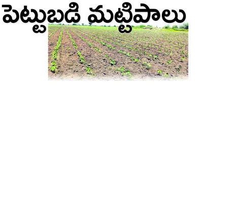 జాడలే
