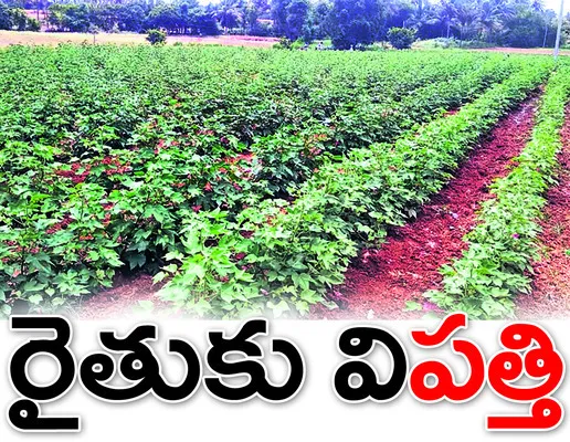 అన్నద