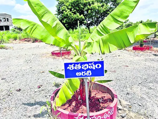 అమ్మవ