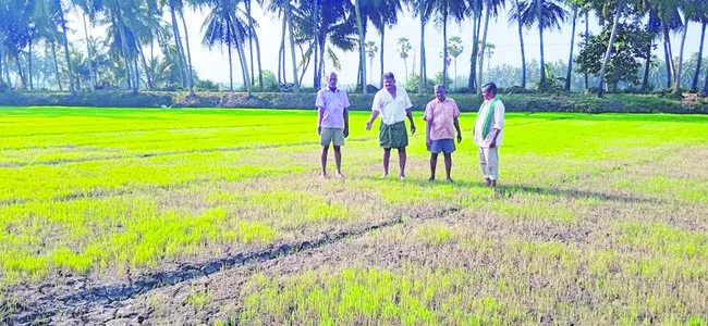 కష్టా