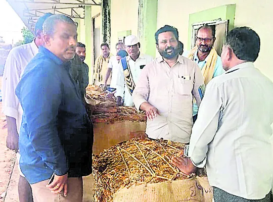 తూతూమంత్రంగా పొగాకు కొనుగోలు 