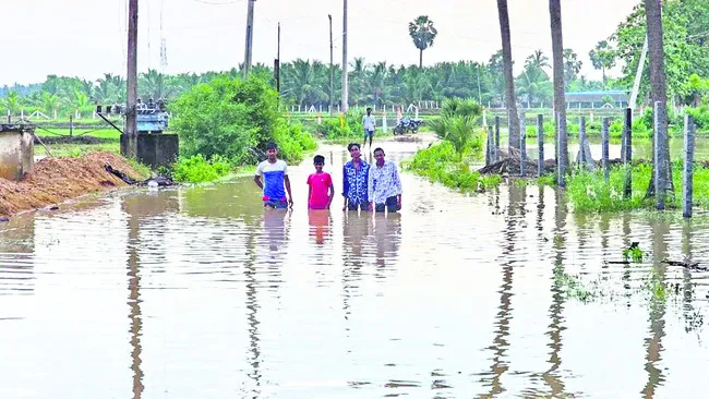 ● రహదారి.. చెరువుగా మారి 