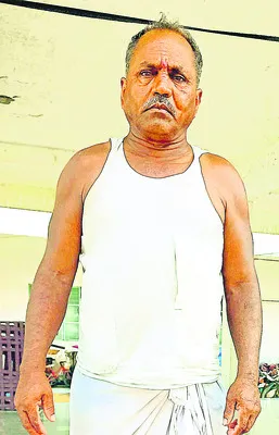 అన్ని
