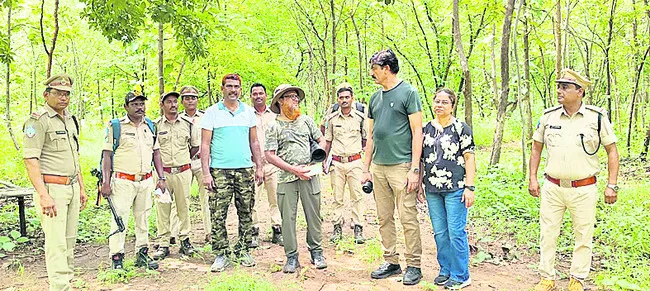 సీతాకోక చిలుకలు, పక్షులపై అధ్యయనం