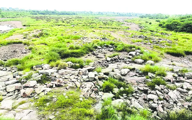 ఆదివారం శ్రీ 20 శ్రీ జూలై శ్రీ 2025