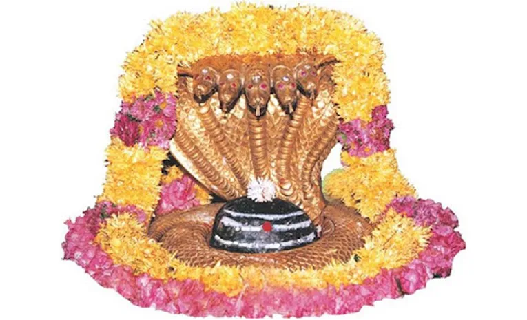 Every Tuesday Sparsha Darshan at Srisailam
