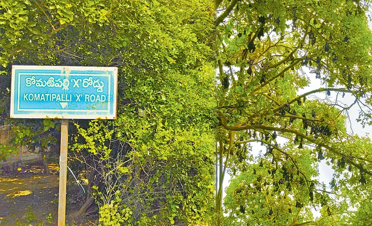 గబ్బిలాలకు కేరాఫ్‌.. కోమటిపల్లి