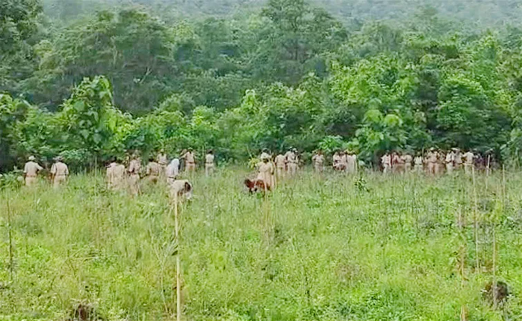 Adilabad District: Podu Farmers Stone Attack On Forest Personnel