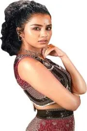 Anupama Parameswarans favorite fashion wear Collection3