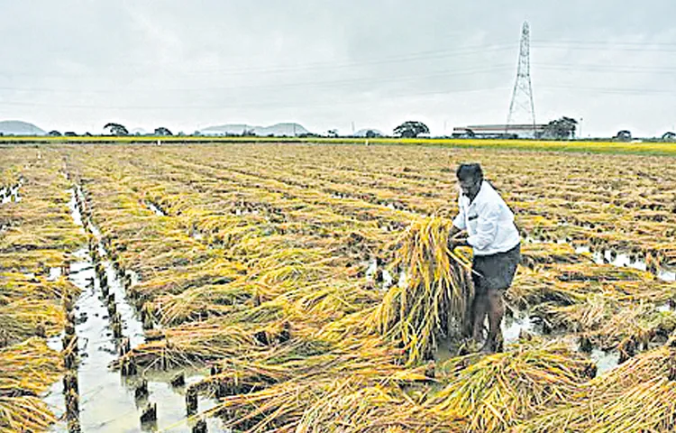 Increasing water efficiency through technology