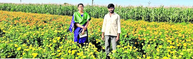 సుగంధ