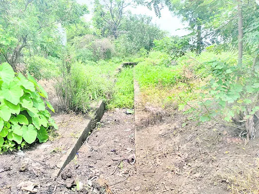 కాలువ