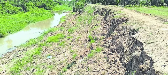 పొంచి ఉన్న నక్కలగండి