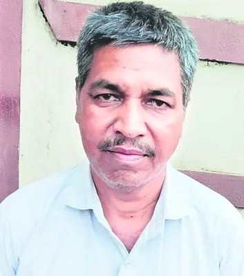 వర్షాలతో సాగు జోరు