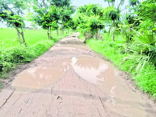 కామున