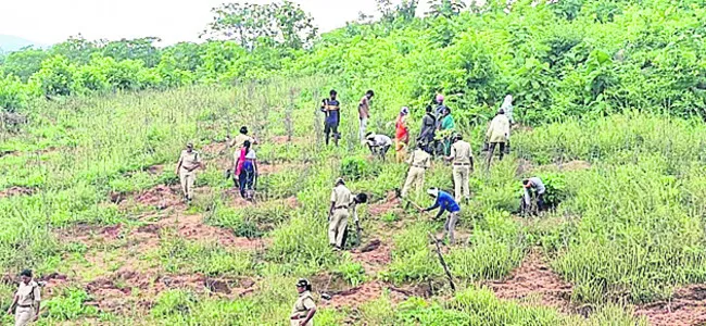ముల్తానీలు వర్సెస్‌ అటవీశాఖ