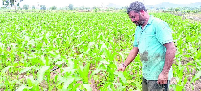 వామ్మ