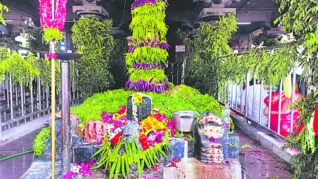 శాకంబ