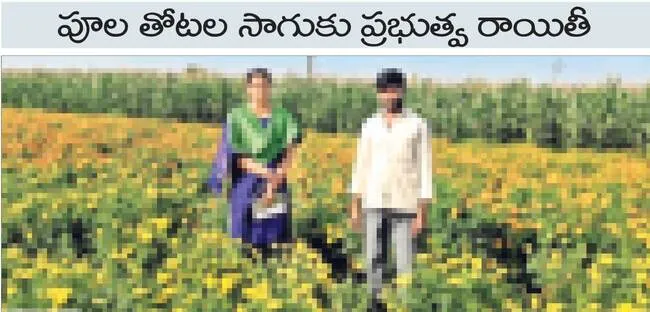 సుగంధాల సిరులు
