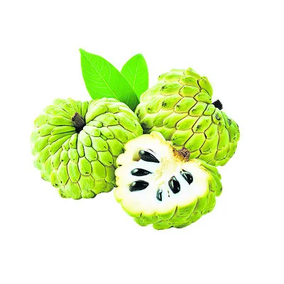 వచ్చే