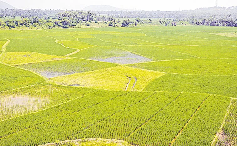 Forensic audit on Dharani Portal in Telangana: Ponguleti Srinivas Reddy