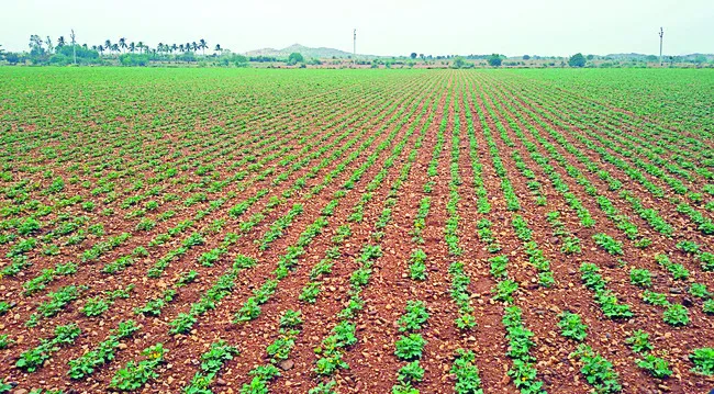 40 శాతం లోటు..