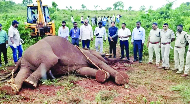 కరెంట
