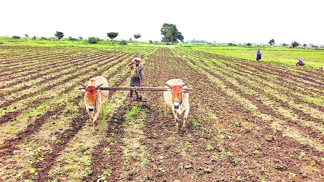 రైతుల