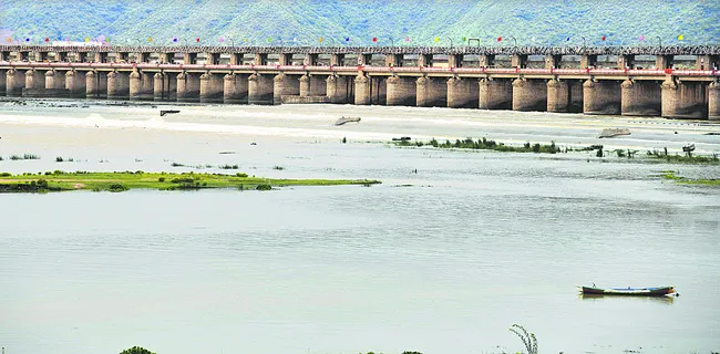 ఆశల సేద్యం