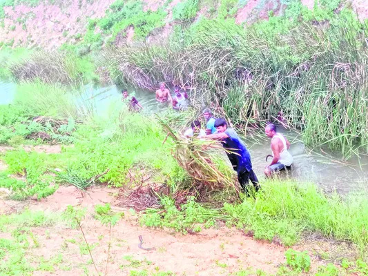 రైతులే నడుం బిగించి.. జమ్ము తొలగించి 