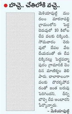 ‘పచ్చ