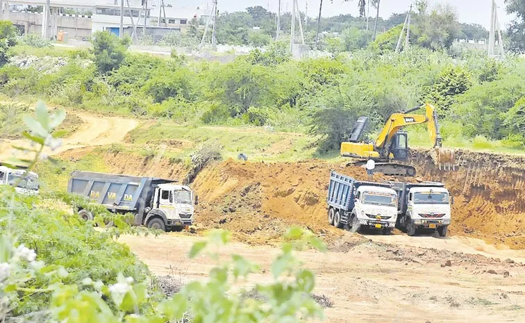 నిలువునా  దోచేయ్‌ ‘తమ్మి’...  