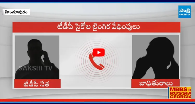 శ్రీసత్యసాయి జిల్లా హిందూపురంలో టీడీపీ నేతల బరితెగింపు