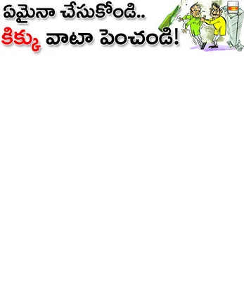 ● అబ్కారీ అధికారులపై కూటమి నేతల ఒత్తిళ్లు ● నెలవారి మామ