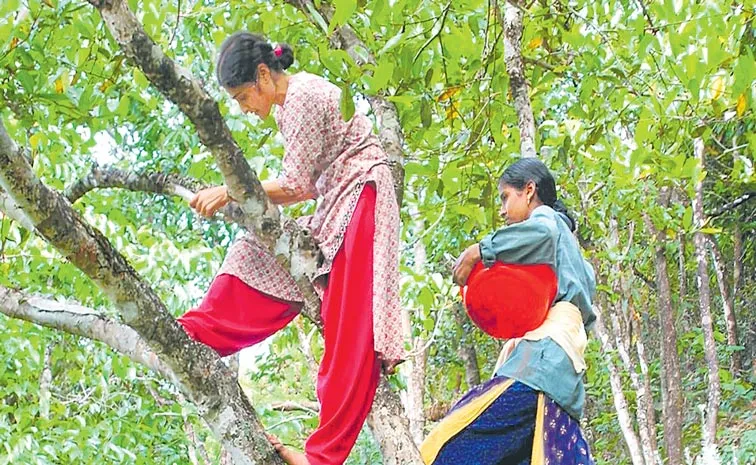 Gurukula Sanctuary: Kerala Womens Restore 2000 Plants, Wildlife Returns