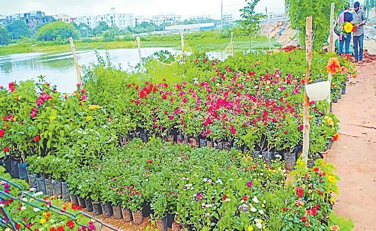 Nurseries being built on the Kothakunta pond in Hafizpet Hyderabad