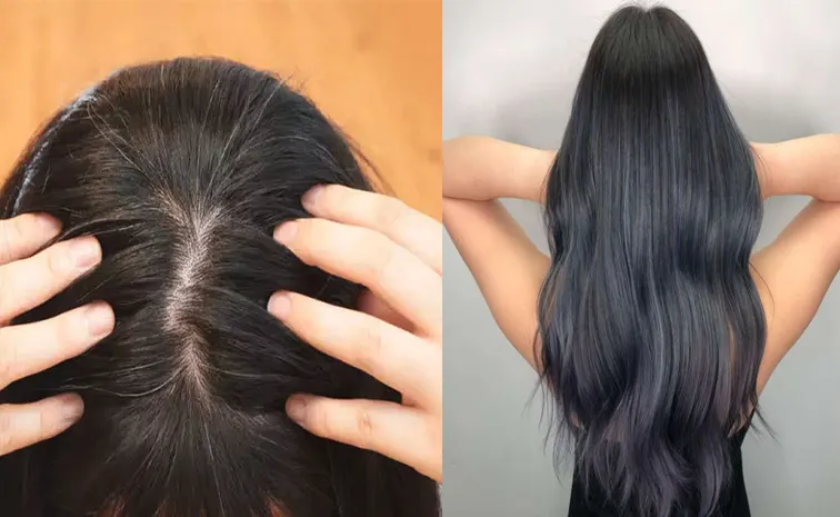 bald head and common hair problems and treatment check here