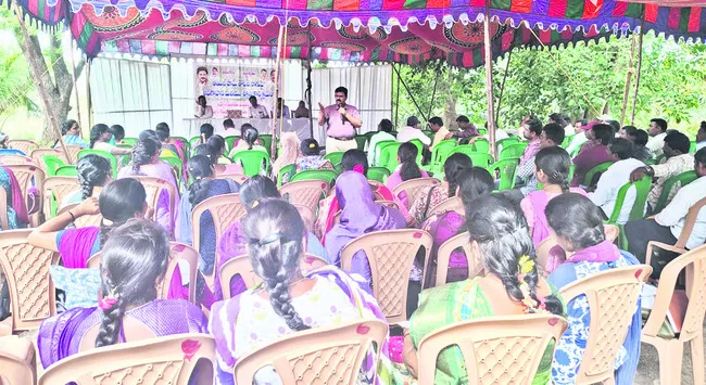 ఆయిల్పాం సాగుతో నిరంతర ఆదాయం