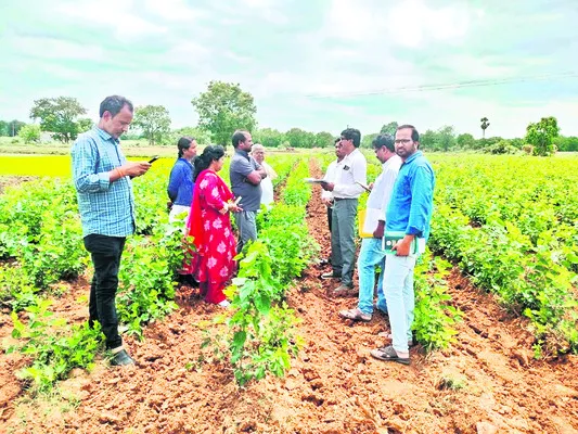 పథకాల