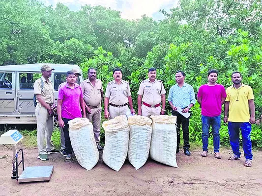 భారీగ