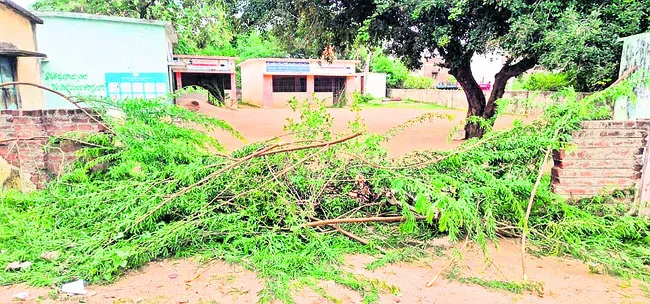 మా పిల్లలకు చదువు వద్దు