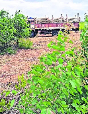 వీఎస్‌యూలో అడ్మిషన్ల గడువు పొడిగింపు

