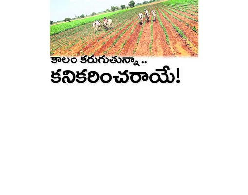 కౌలు