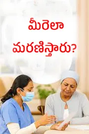 what is living will and how to apply full details here PN6