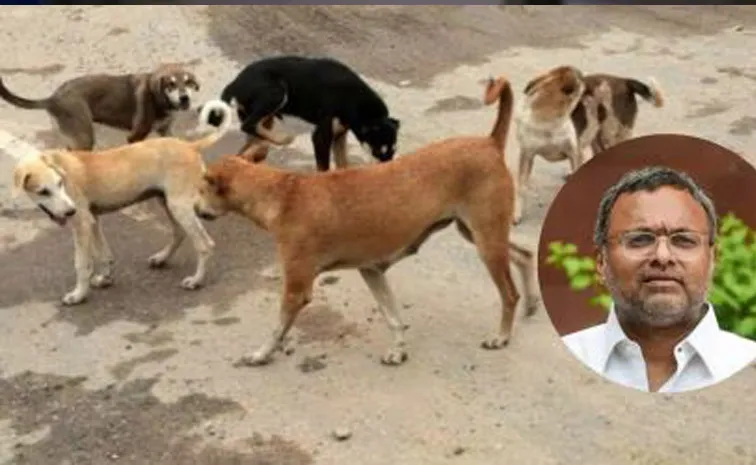 Cant Ignore over 3 lakh Dog Bite Karti Chidambaram