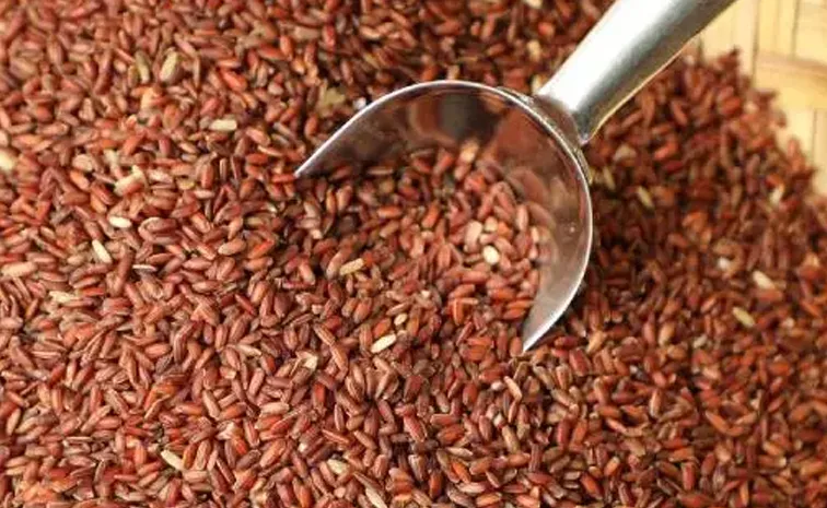 Sagubadi: Kullakar Rice several health benefits and nutritional vules